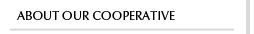About the Cooperative